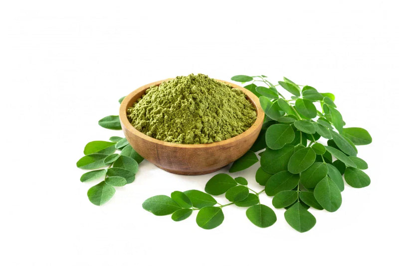 What is the Use of Moringa Powder